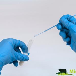Kultivační set MicroMast