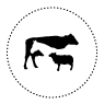 Veterinární péče